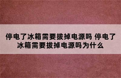 停电了冰箱需要拔掉电源吗 停电了冰箱需要拔掉电源吗为什么